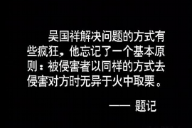 盐边盐边的要账公司在催收过程中的策略和技巧有哪些？